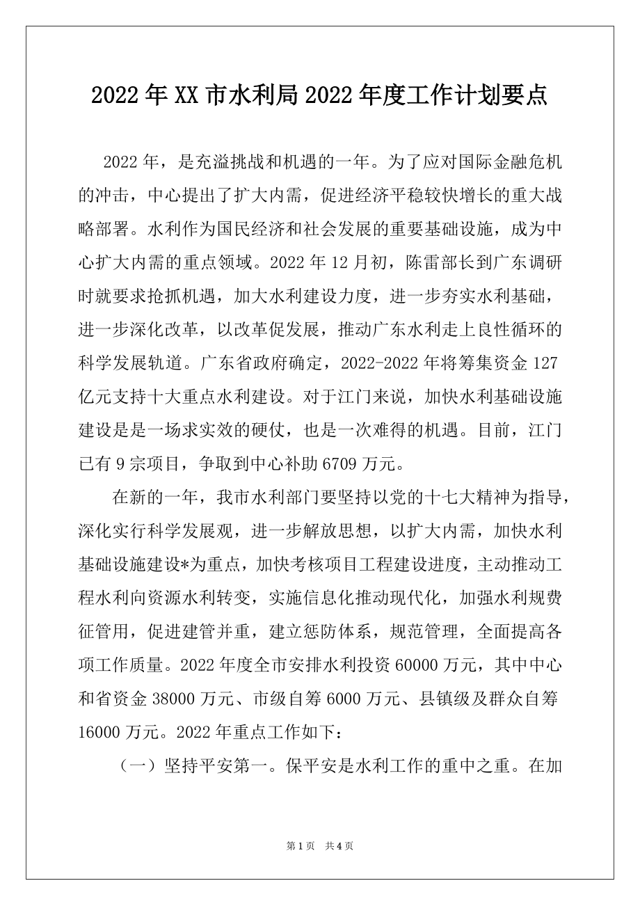 2022年XX市水利局2022年度工作计划要点.docx_第1页