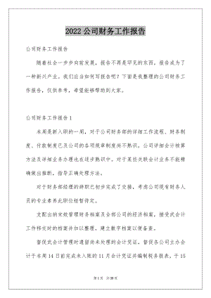 2022公司财务工作报告汇编.docx