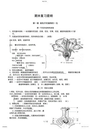 2022年期末复习提纲 .pdf