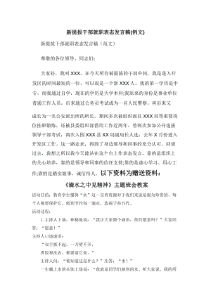 新提拔干部就职表态发言稿(例文).docx