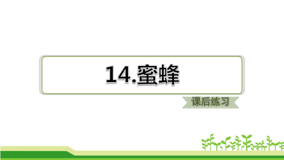 部编版语文三年级下册习题14蜜蜂课后练习优质ppt课件.ppt_第1页