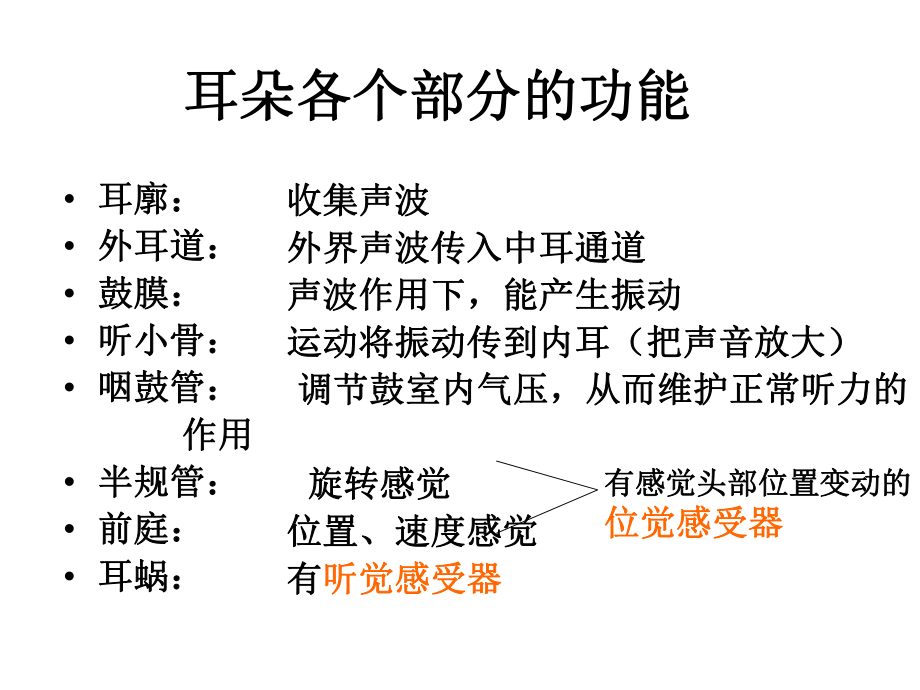 耳部检查法ppt课件.ppt_第2页