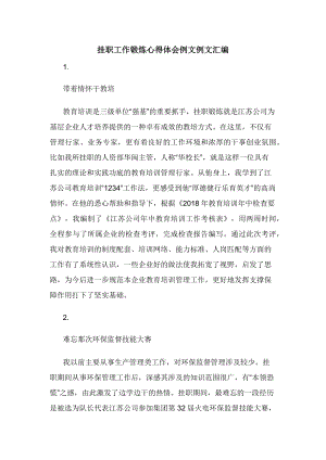 挂职工作锻炼心得体会例文例文汇编.docx