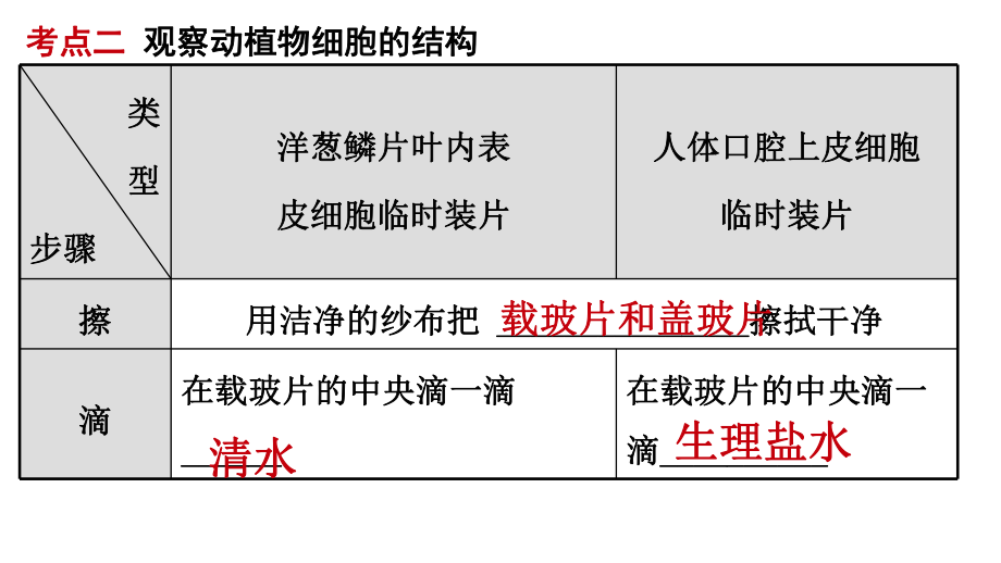 细胞结构和功能专题ppt课件.ppt_第2页