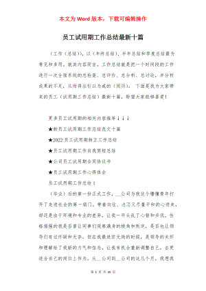 员工试用期工作总结最新十篇.docx