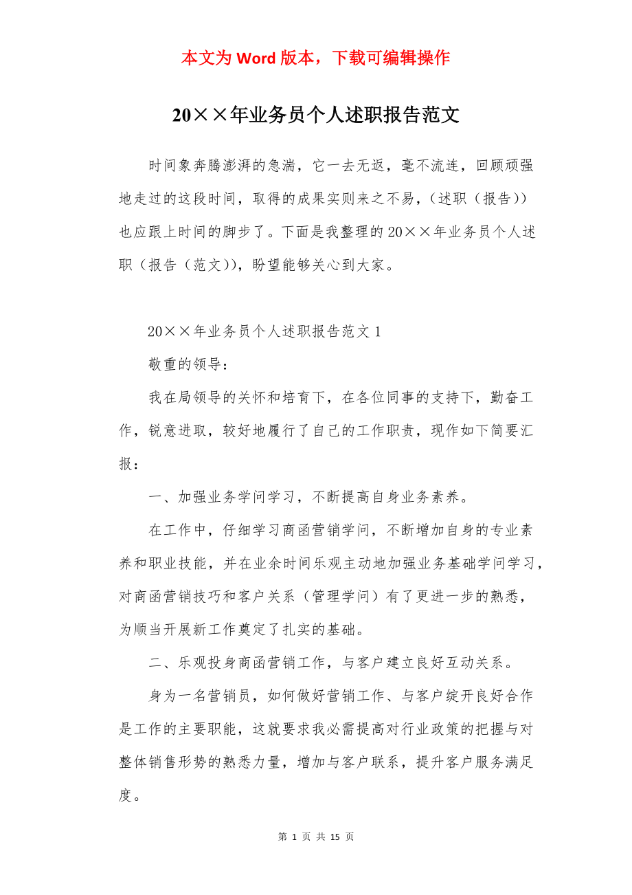 20××年业务员个人述职报告范文.docx_第1页