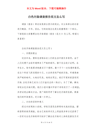 白色污染调查报告范文怎么写.docx