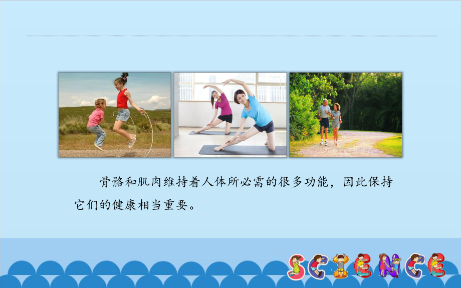 骨骼与肌肉的保健ppt课件.ppt_第2页