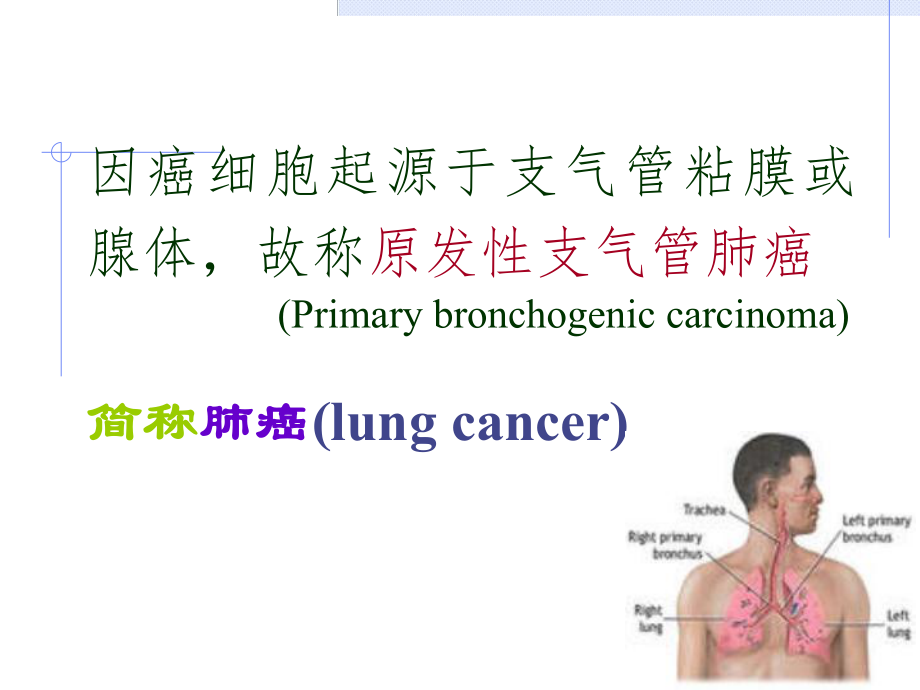 肺癌PPT课件.ppt_第2页