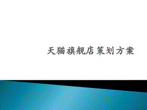 网店基本架构策划方案以天猫为例ppt课件.pptx