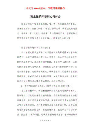 班主任教师培训心得体会.docx