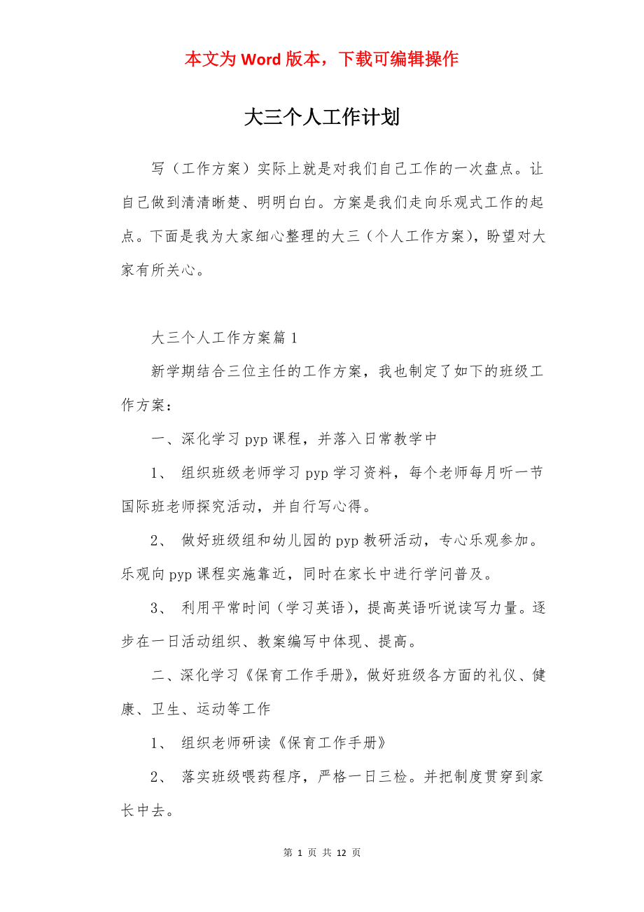 大三个人工作计划.docx_第1页