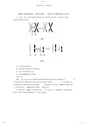 2022年高考生物大二轮复习第一编专题整合突破专题生物的遗传变异与进化第讲生物的变异与进化.docx