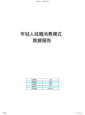 2022年年轻人结婚消费模式数据报告 .pdf