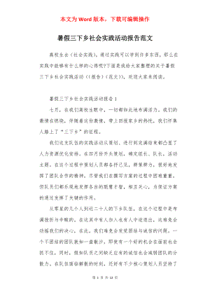 暑假三下乡社会实践活动报告范文.docx