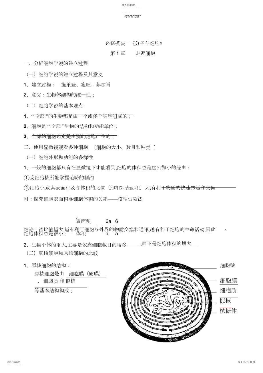 2022年高考必修模块一考点知识总结.docx_第1页