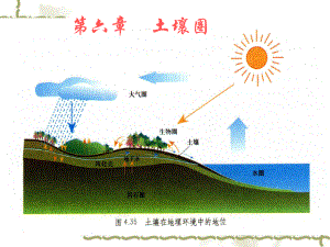 自然地理学-第六章-土壤圈ppt课件.ppt