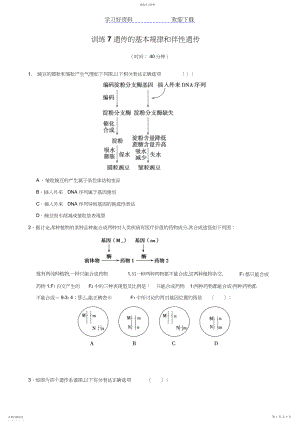 2022年高考生物二轮复习训练专题遗传的基本规律和伴性遗传.docx