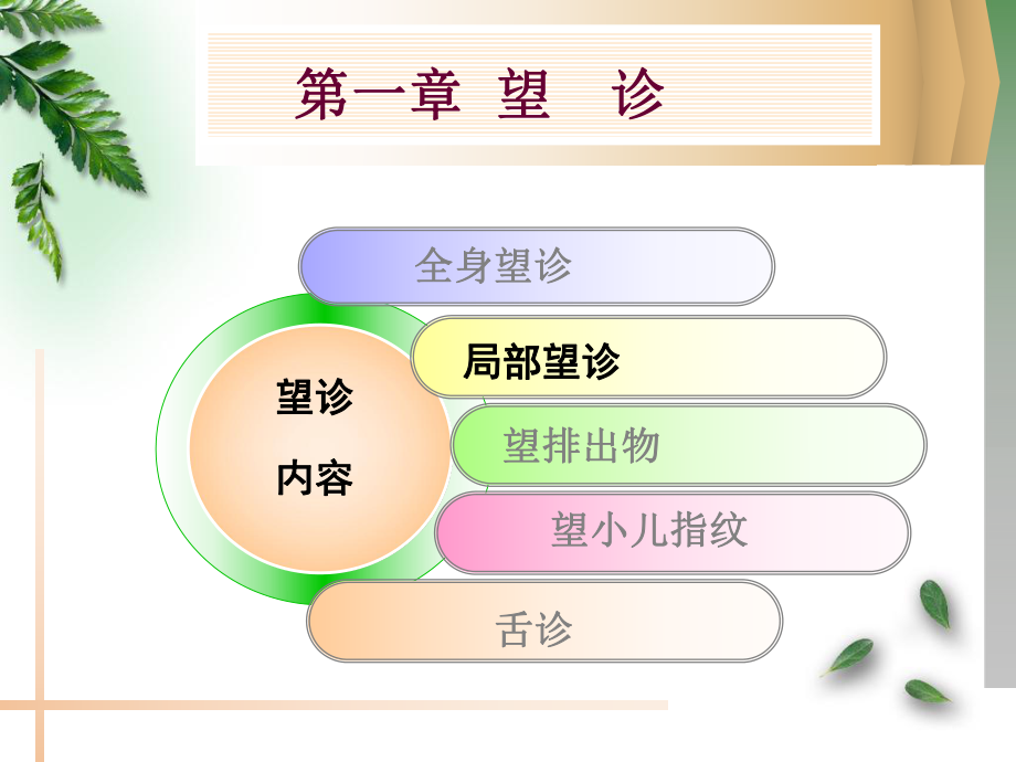 望诊局部望诊ppt课件.ppt_第2页