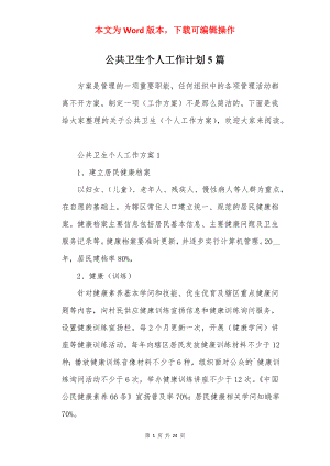 公共卫生个人工作计划5篇.docx