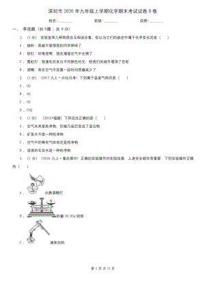 深圳市2020年九年级上学期化学期末考试试卷B卷.docx