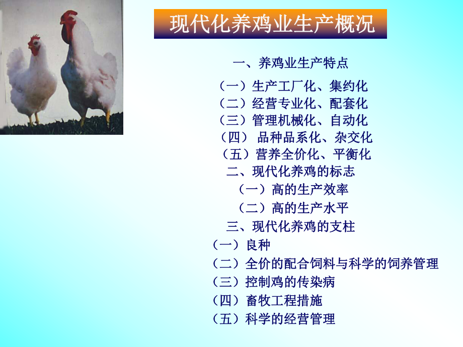 育成鸡及成鸡的饲养管理详解ppt课件.ppt_第2页