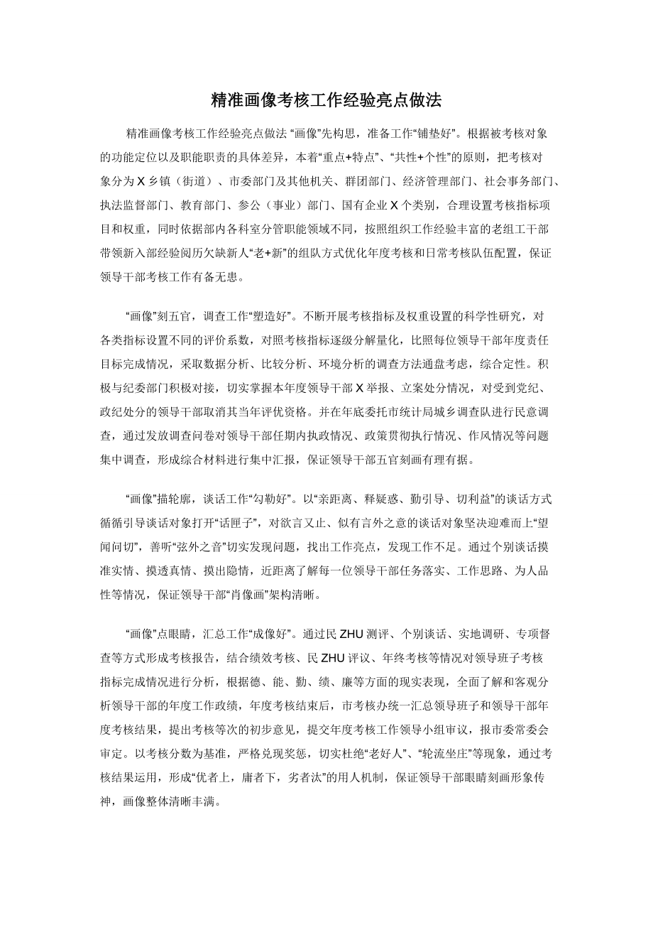 精准画像考核工作经验亮点做法.docx_第1页