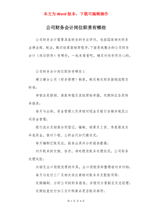 公司财务会计岗位职责有哪些.docx