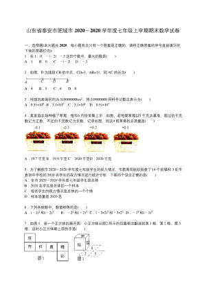 泰安市肥城市2020学年人教版七年级上期末数学试卷含答案解析(A卷全套).docx