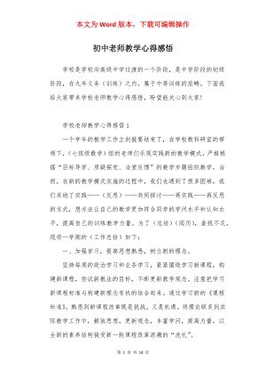 初中老师教学心得感悟.docx