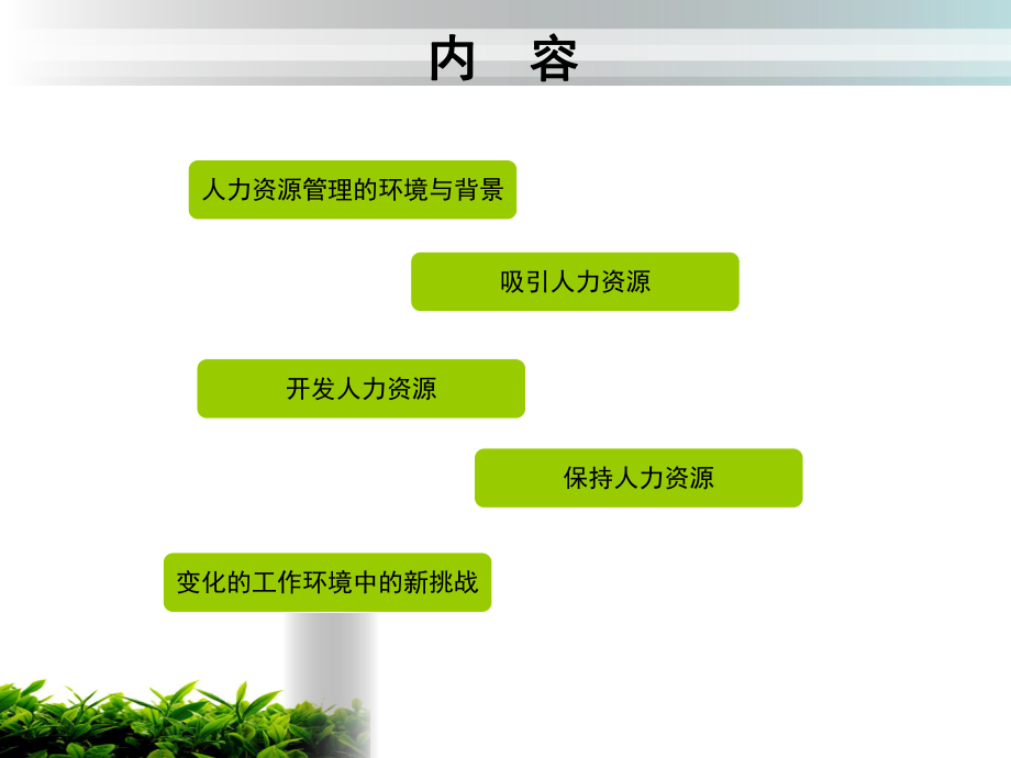 组织中的人力资源管理ppt课件.ppt_第2页