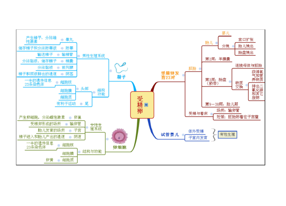 浙教版科学七年级下册第1章代代相传的生命整章思维导图.docx_第2页