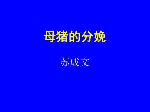 母猪的分娩ppt课件.ppt