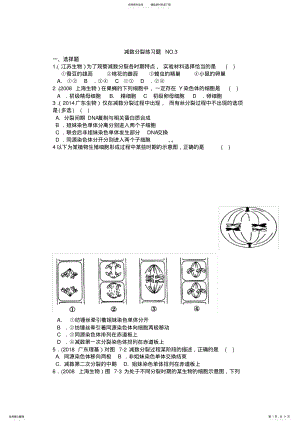 2022年高二生物必修二减数分裂练习题,推荐文档 .pdf