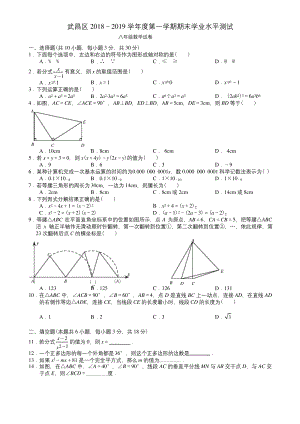 武昌区2018-2019学年度第一学期期末考试八年级数学试题(word版).docx