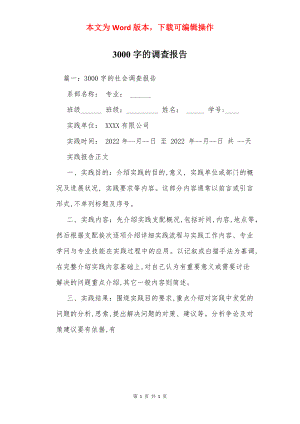 3000字的调查报告.docx