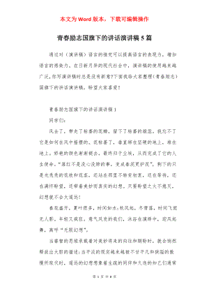 青春励志国旗下的讲话演讲稿5篇.docx