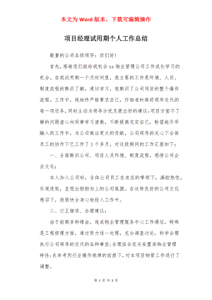 项目经理试用期个人工作总结.docx