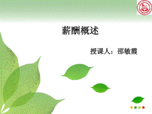 薪酬管理(精品).pdf