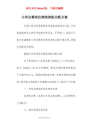 小学自筹岗位绩效津贴分配方案.docx