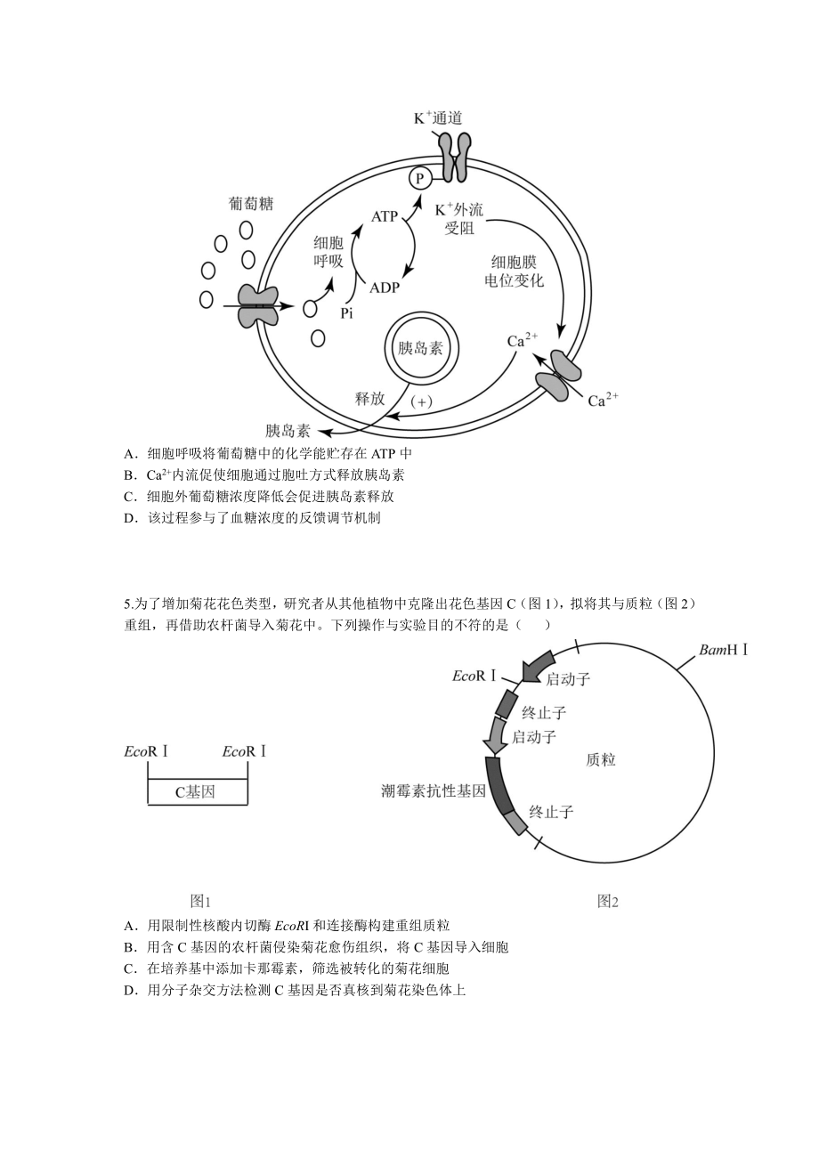 初中高中练习试题中考真题高考考试参考试卷 初高生物高考真题 高考真题.pdf_第2页