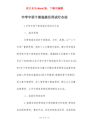 中学中层干部选拔任用试行办法.docx