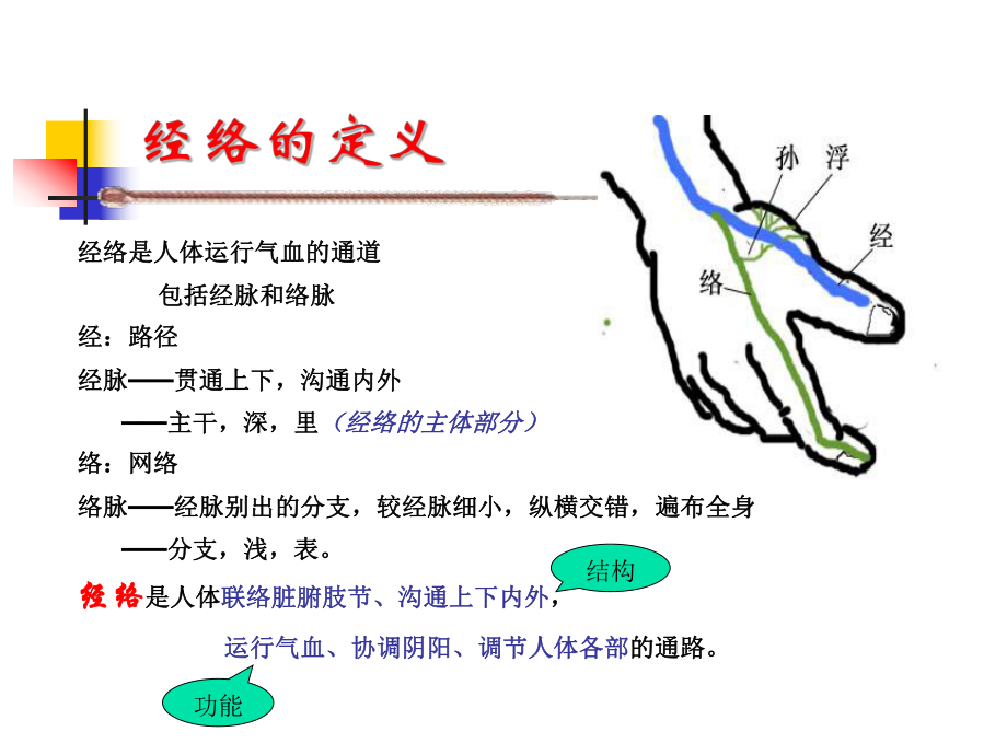 经络总论--针灸学ppt课件(南京中医药大学).ppt_第2页