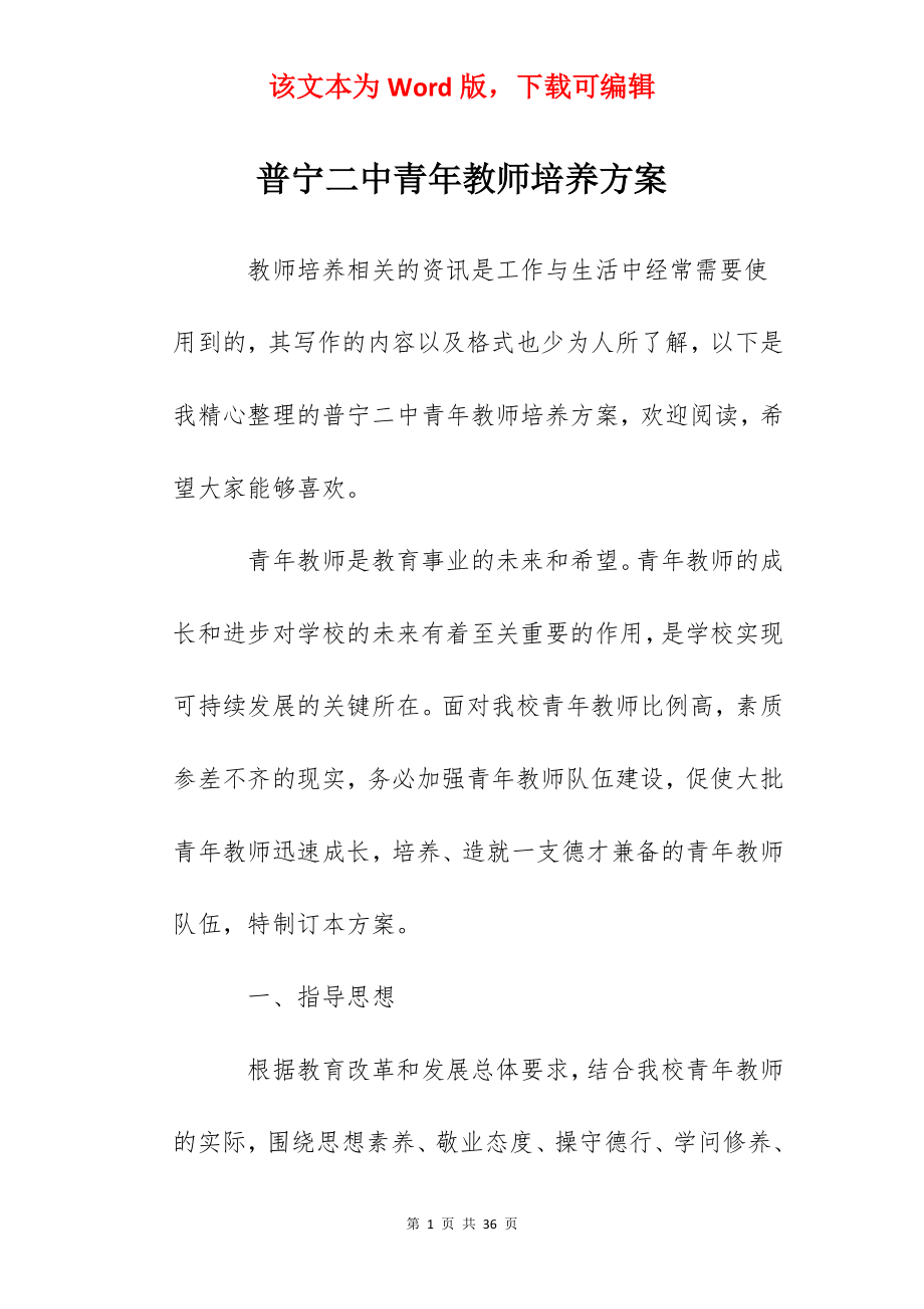 普宁二中青年教师培养方案.docx_第1页