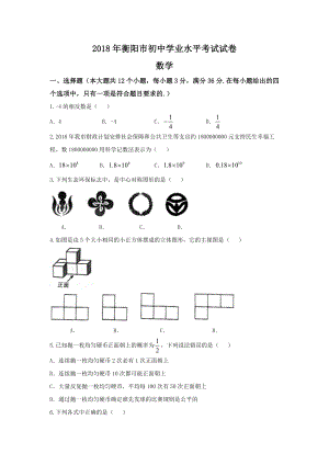 初中数学专题中考题试卷 衡阳市中考数学试题含答案.doc