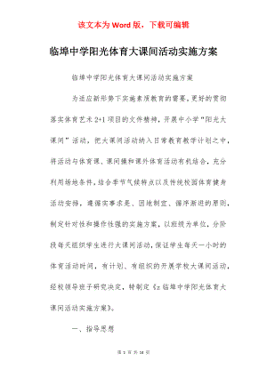 临埠中学阳光体育大课间活动实施方案.docx