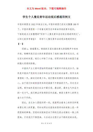 学生个人豫见青年活动观后感通用例文.docx