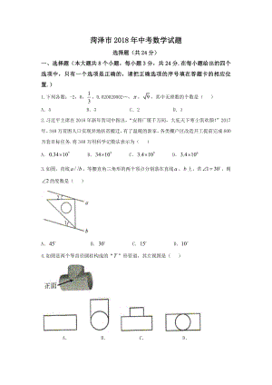 初中数学专题中考题试卷 菏泽市中考数学试题含答案.doc