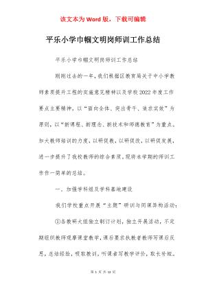 平乐小学巾帼文明岗师训工作总结.docx