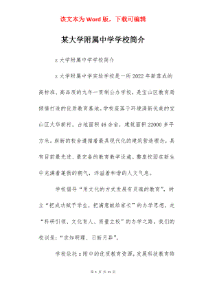 某大学附属中学学校简介.docx